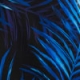 Black & Blue Tropical Palm Print Bandeau Jumpsuit With Pockets