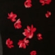 Black & Red Floral Print Bardot Midi Dress