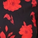 Black & Red Floral Print Tie Waist Ruffle Hem Dress