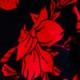 Red Floral Print Ruffle Hem Midi Wrap Dress