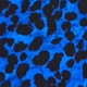 Blue & Black Animal Print Twist Front Top