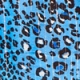 Blue & White Leopard Print Button Front Blouse