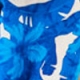 Blue & White Floral Print Bardot Maxi Dress