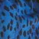 Blue & Black Animal Print Sheer Sleeve Bardot Top