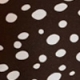 Chocolate Brown & White Spot Print High Neck Top