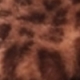 Brown Leopard Faux Fur & Leather Look Button Detail Jacket