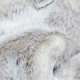 Siberian Grey Seriously Strokable Luxury Faux Fur Throw