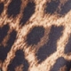Leopard Print Cut Out Detail Stiletto Heel Court Shoes