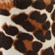 Leopard Print Block Heel Leather Sandal