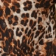 Leopard Print Blouson Sleeve Shirt