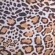 Leopard Print Made-To-Flatter Moulded Cup Bikini Top