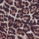 Leopard Print Sweetheart Neck Mesh Top