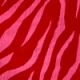 Pink Zebra Print Shirred Detail Bandeau Playsuit
